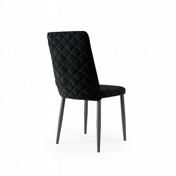 ���� ��� ���� ���� 