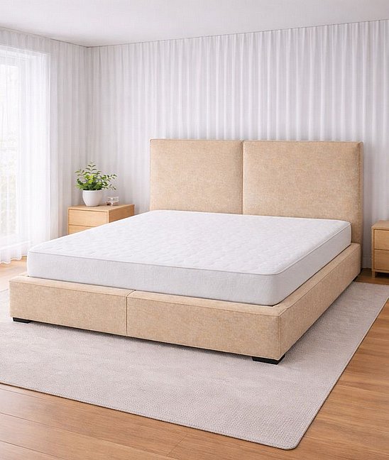 ���� ����� ������ ������ ������  ��� �������